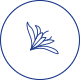 海水仙